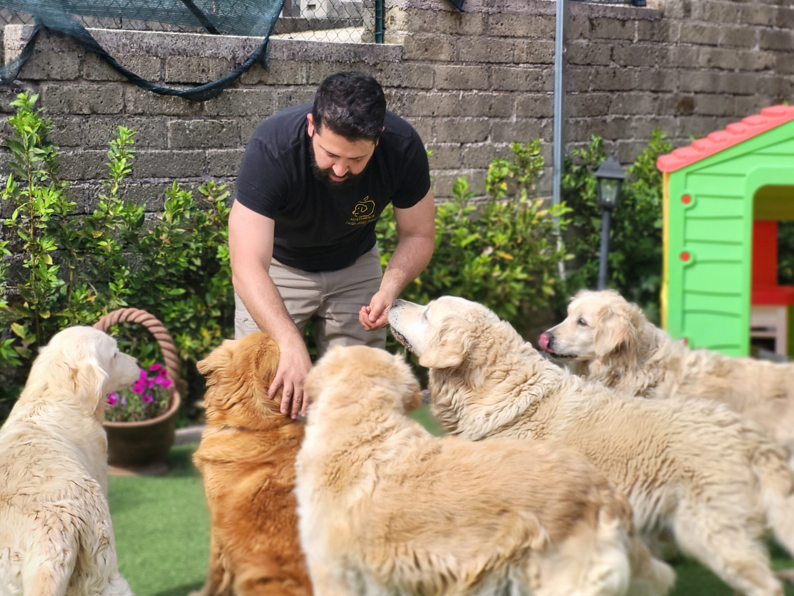 Scuola di Comunicazione Canina