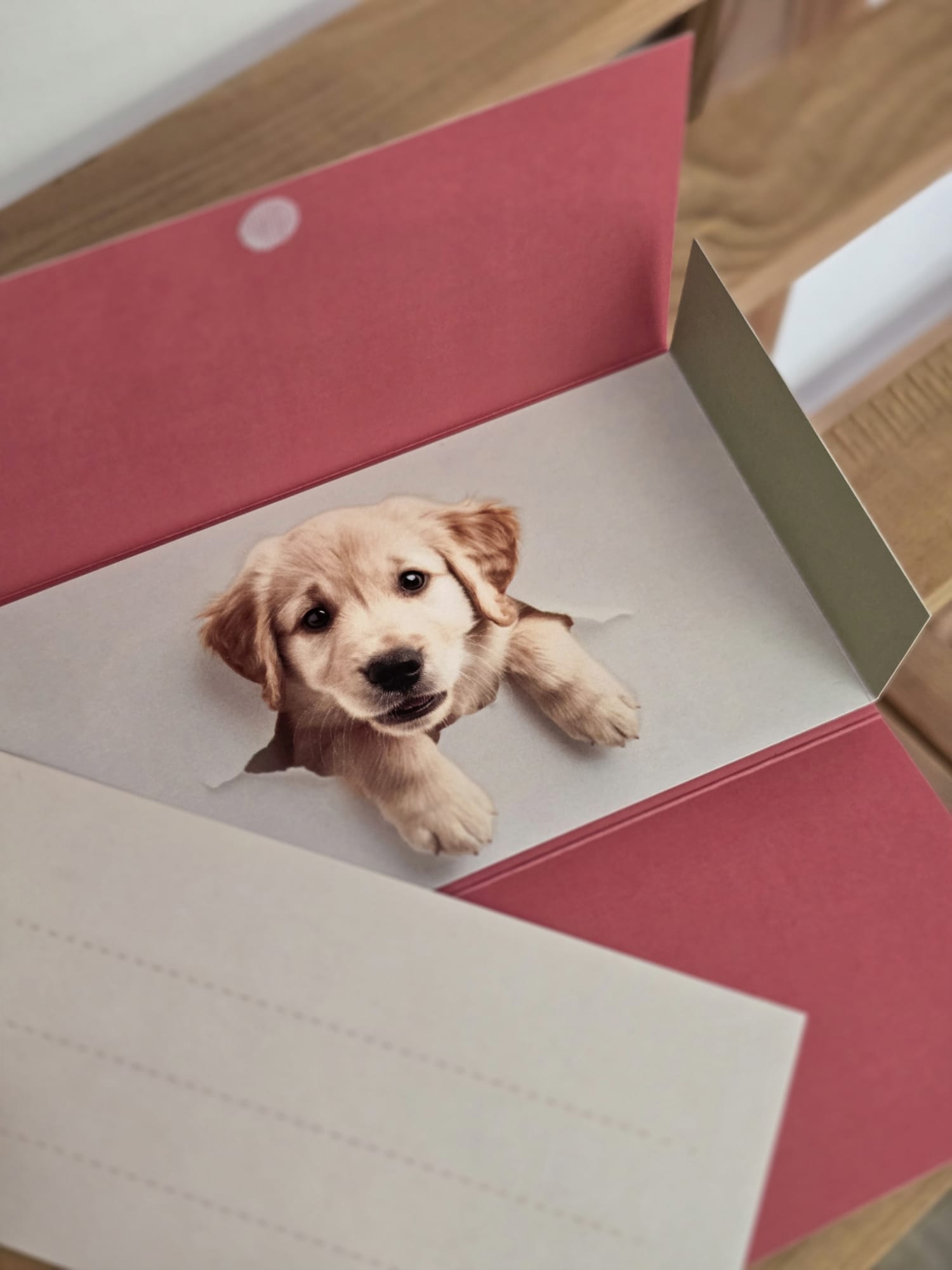 Biglietto Regalo 'Una sorpresa ti aspetta' - Tema Golden Retriever