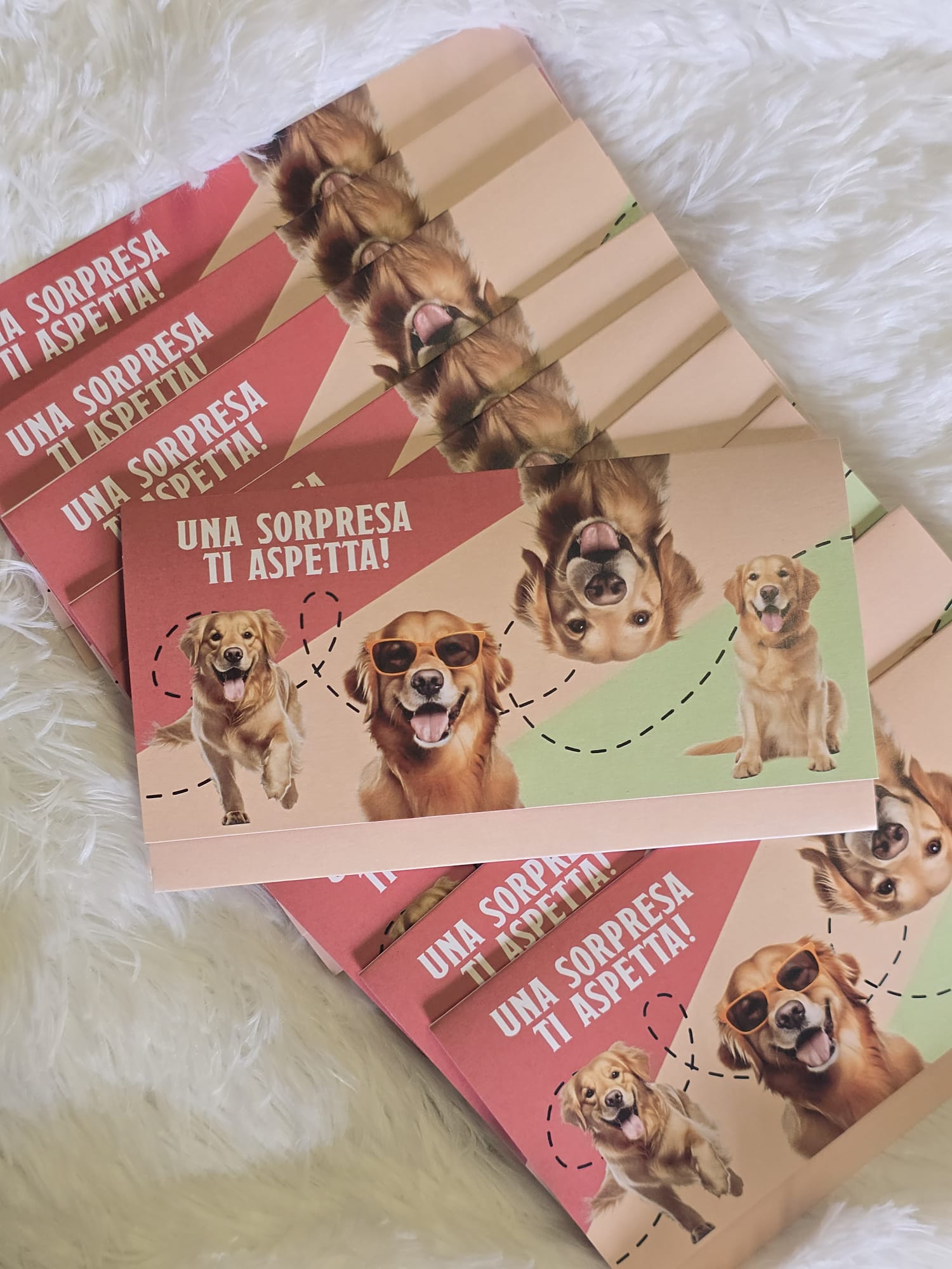 Biglietto Regalo 'Una sorpresa ti aspetta' - Tema Golden Retriever - immagine 4