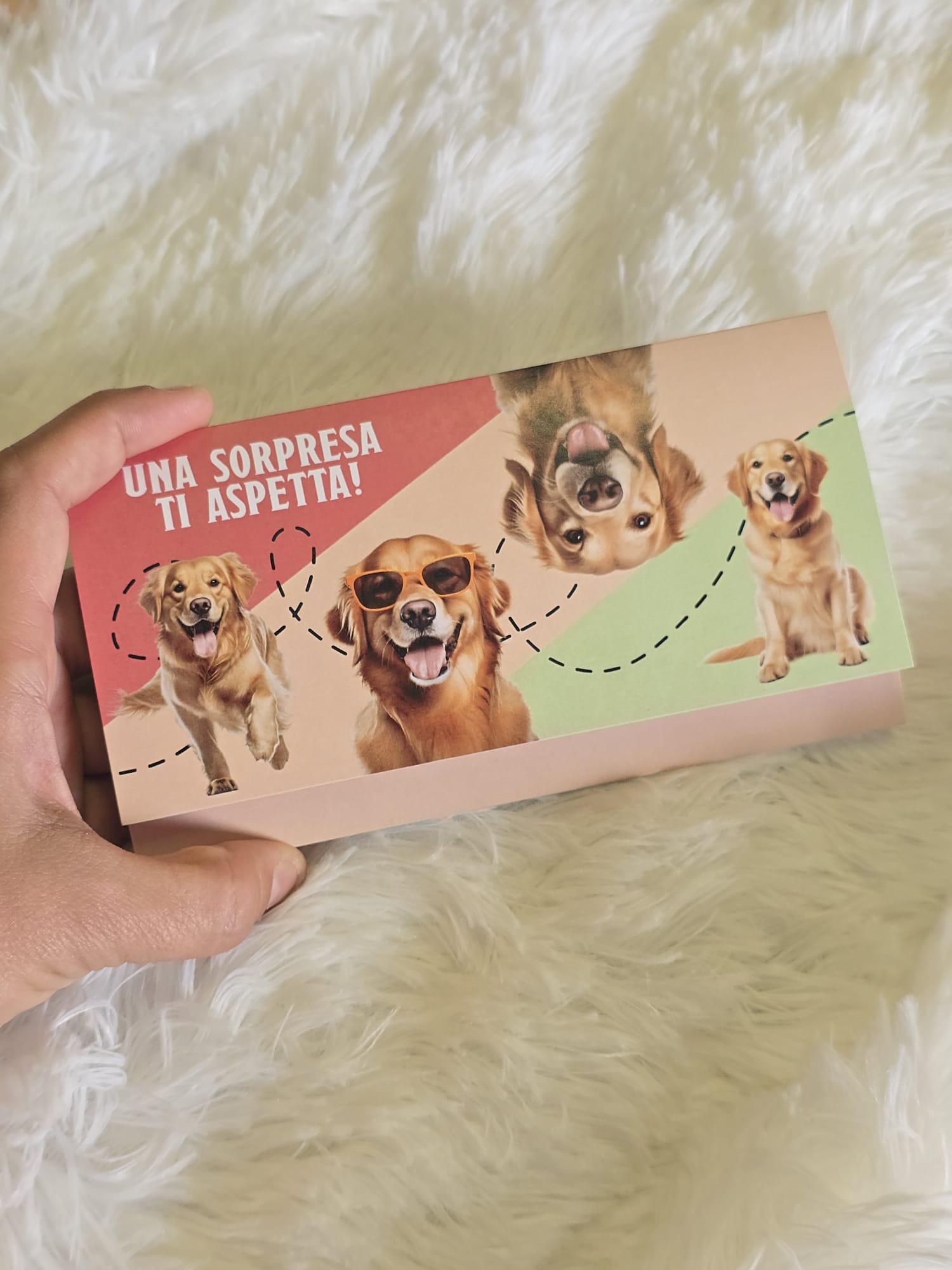 Biglietto Regalo 'Una sorpresa ti aspetta' - Tema Golden Retriever - immagine 2