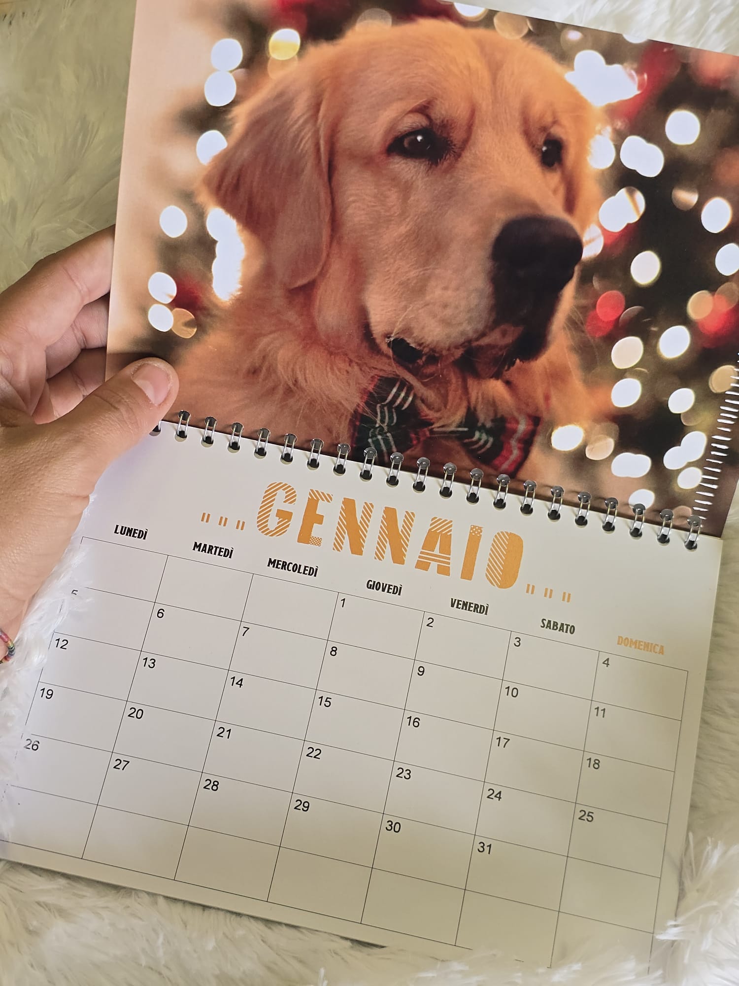 Calendario Golden Retriever - LIFE IS GOLDEN- - immagine 2