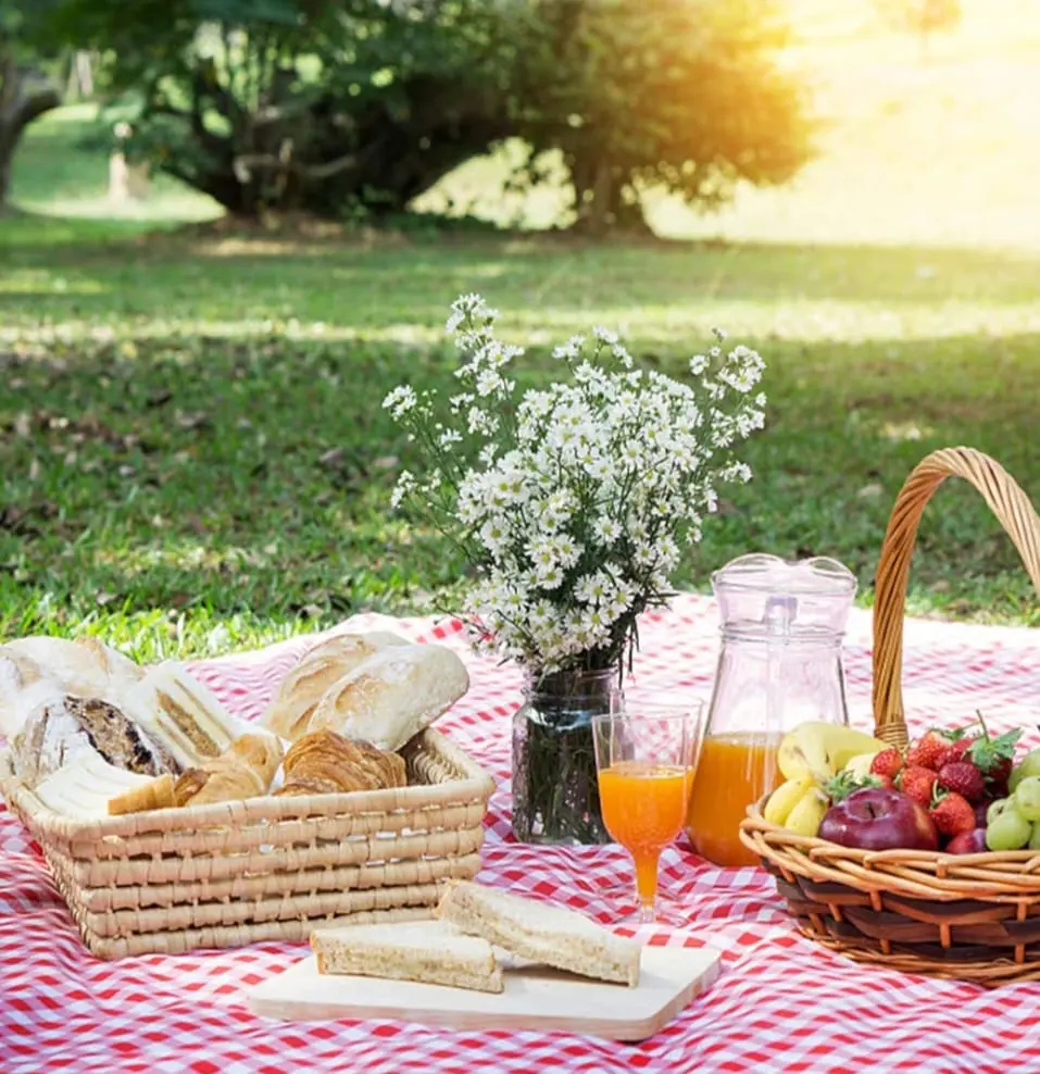 Picnic con i Cuccioli di Golden Retriever - immagine 3