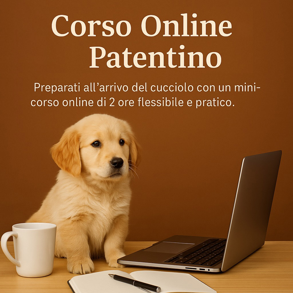 Corso online patentino