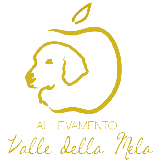 Allevamento Valle della Mela - Vivi un’esperienza unica con le visite guidate dell’Allevamento Valle della Mela: scopri Golden Retriever e Cocker Spaniel allevati con passione. logo