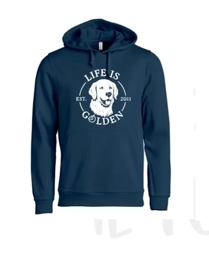 FELPA CON CAPPUCCIO 'LIFE IS GOLDEN' (BAMBINO) - immagine 4