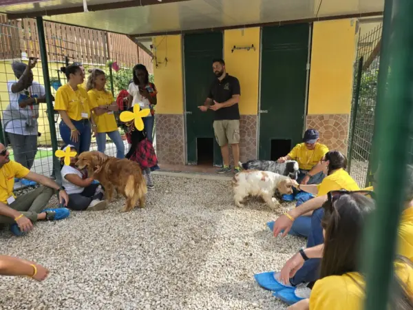 VISITA GUIDATA - immagine 19