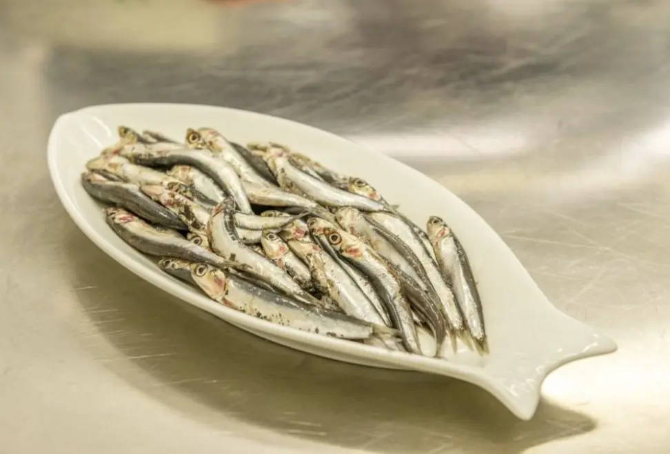 BISCOTTI ARTIGIANALI Pesce e Curcuma - immagine 3